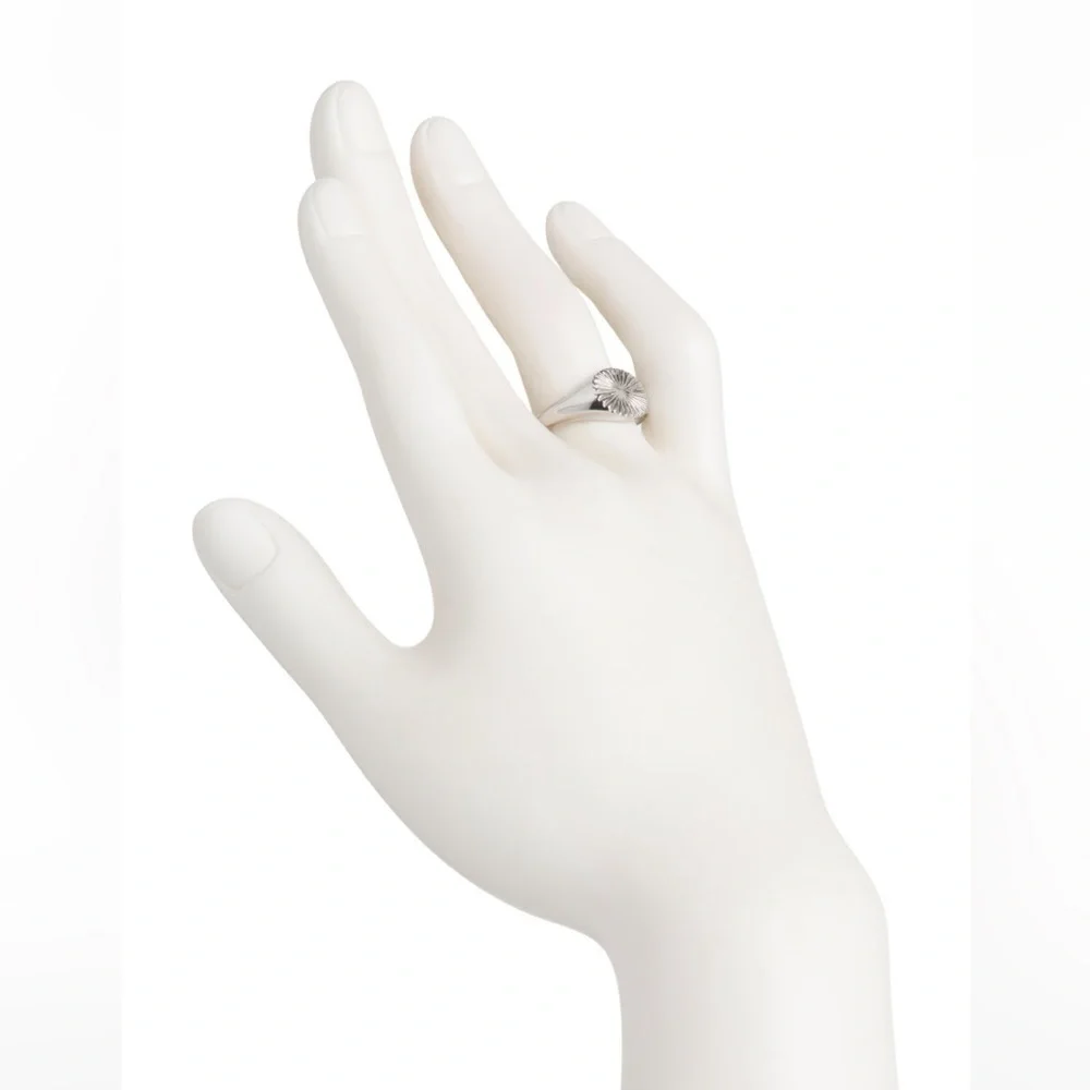 AllSaints‎ New Size 6 Rhodium Plated Textured Fan Signet Ring Silver Tone Brass